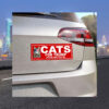 Cats For Trump Car Magnet