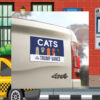 Cats For Trump Vance Car Magnet