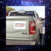 Ducks And Cats For Trump Save The Pets Car Magnet
