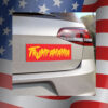 Trumpamania 2024 Vinyl Car Magnet