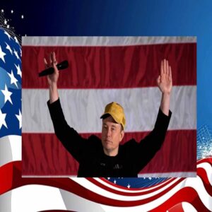 24' Elon Musk Vote Trump MAGA Gold Hat