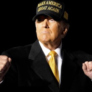 OFFICIAL TRUMP DARK GOLD MAGA HAT