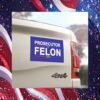 Prosecutor Vs Felon 2024 Car Magnet
