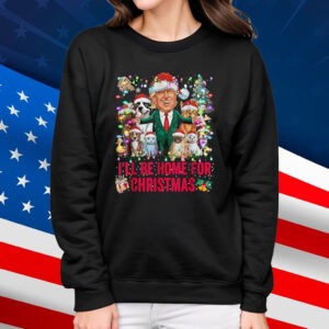 I'll Be Home For Christmas Funny Pets Dog Cat Xmas T-Shirt