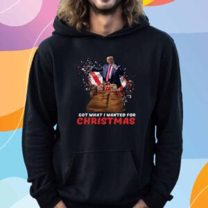 Trump Got What I Wanted For Christmas T-Shirt