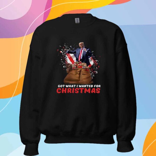 Trump Got What I Wanted For Christmas T-Shirt
