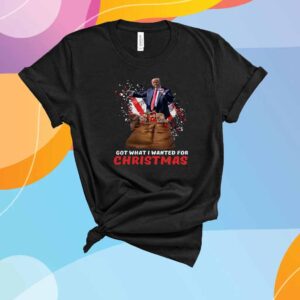 Trump Got What I Wanted For Christmas T-Shirt