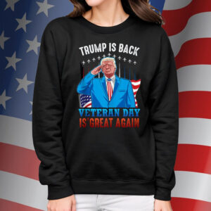 Trump is Back Veterans Day is Great Again American Flag Shirt